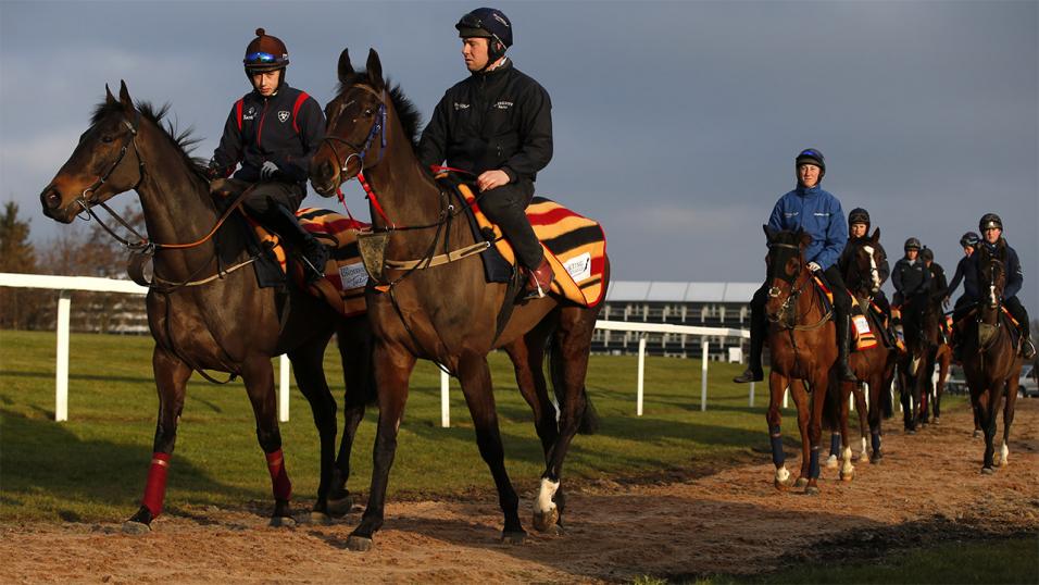 Gordon Elliott horses